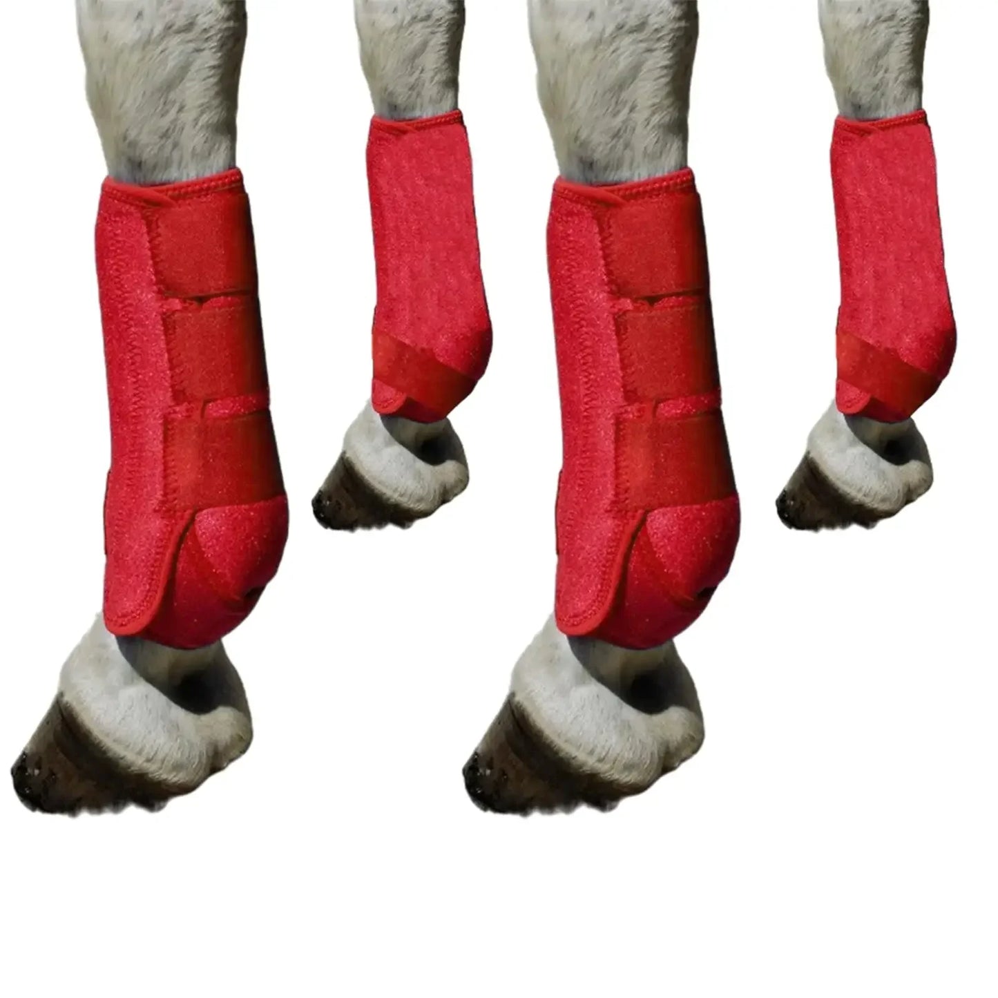 Horse Leg Boots — 4-Pack Durable Protection & Support for Outdoor Training | S, M, L