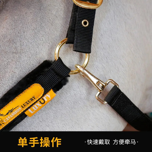 Horse Halter — Adjustable, No Ear Cover