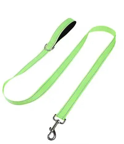 Reflective Night Safety Lead Strap for Dogs & Cats — Multiple Lengths & Colors