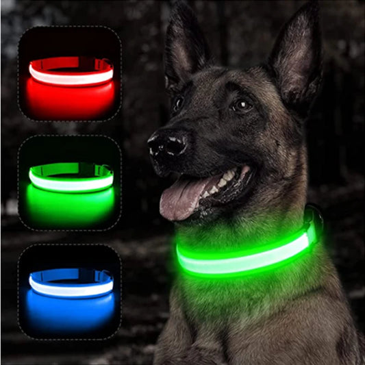 USB Rechargeable LED Dog & Cat Collar — Adjustable, Nylon, Night Safety | XS–XXL