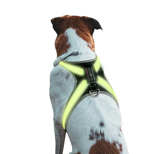 Color-Changing LED Dog Collar & Harness — Reflective Safety Vest for Night Walks