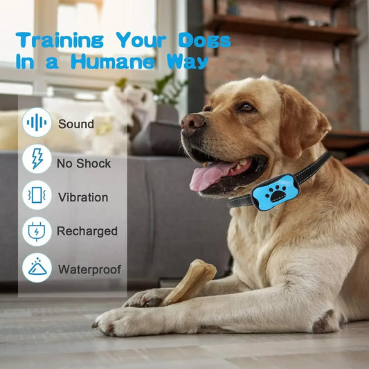 Anti-Barking Device — USB Rechargeable Vibration Training Collar for Dogs