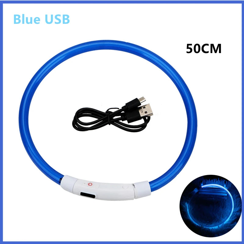 USB Rechargeable LED Dog & Cat Collar — Adjustable, Nylon, Night Safety | XS–XXL