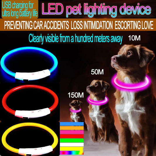 Rechargeable LED Dog Collar — Bright Light for Night Safety