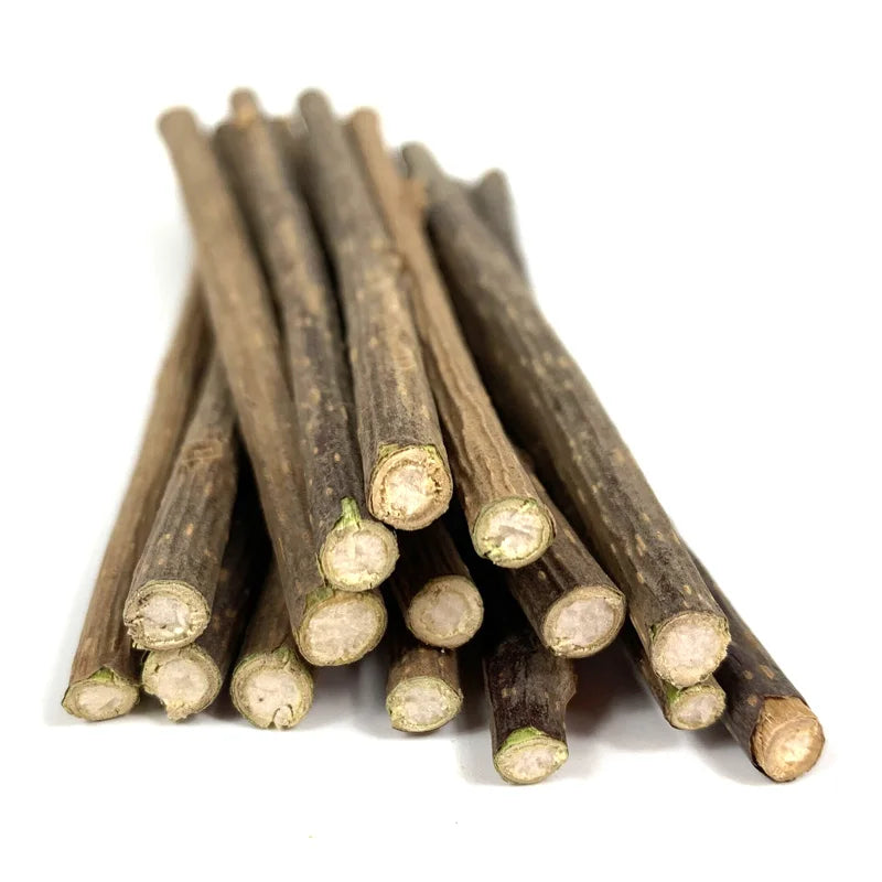 Matatabi Silvervine Cat Chew Sticks — Natural Catnip Alternative, Dental & Enrichment Toy (100 Pack)