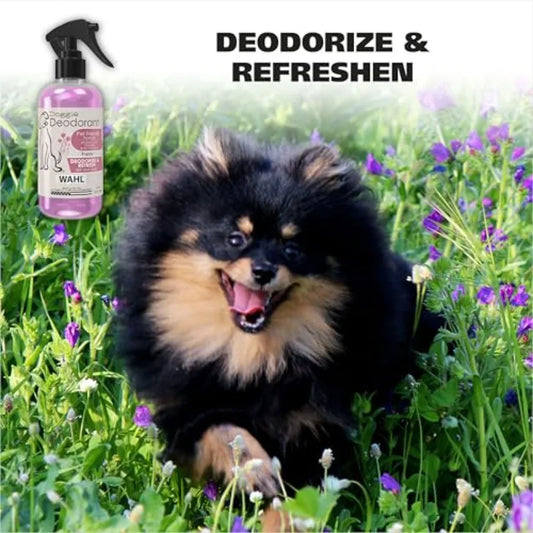 USA Cornflower Scented Pet Deodorant Spray for Dogs & Cats — 8 oz