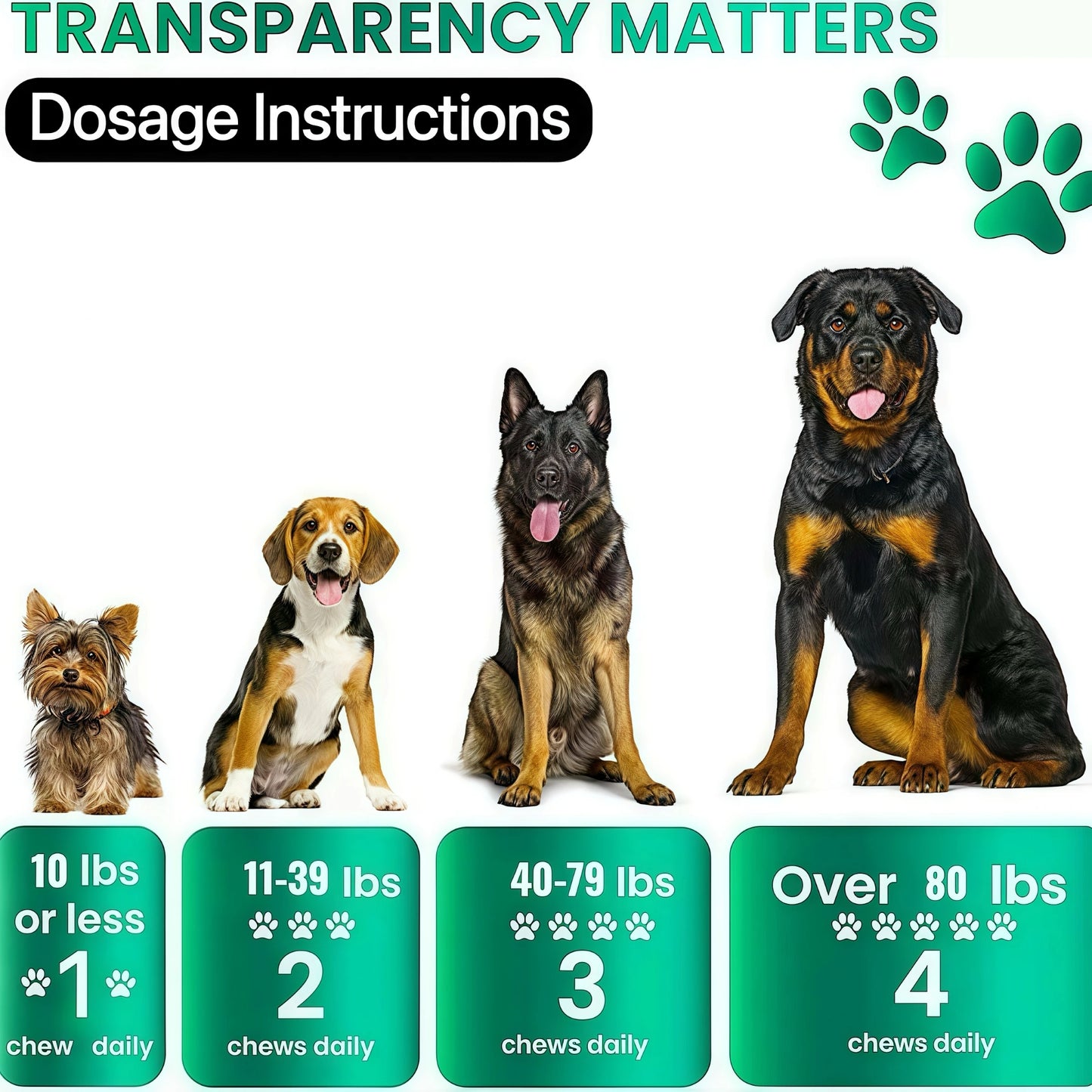Dog Itch Relief & Allergy Chews — Immune Support, Gut Health & Skin & Ear Itching Relief