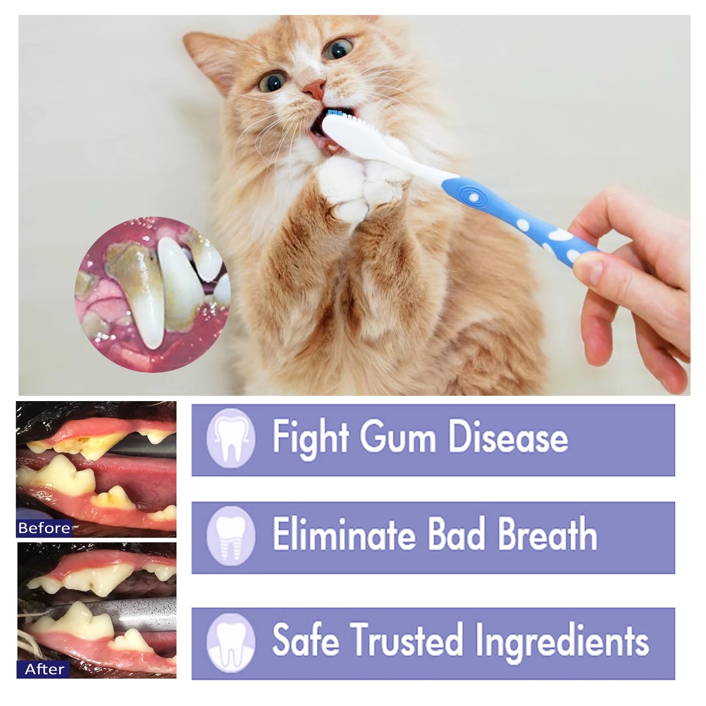 Pet Dental Care Toothpaste — Protects Gums, Removes Stains & Reduces Odor for Dogs & Cats