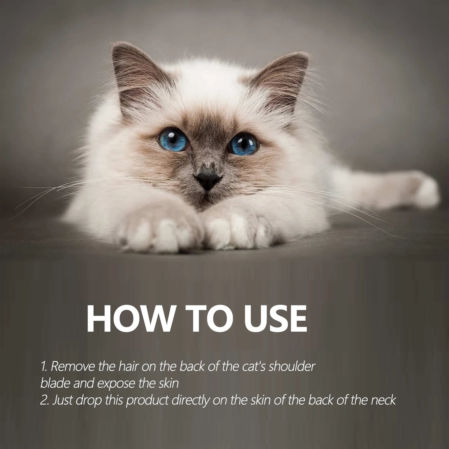 Natural Anti-Flea & Tick Drops for Cats & Dogs — 50ml Deworming Formula