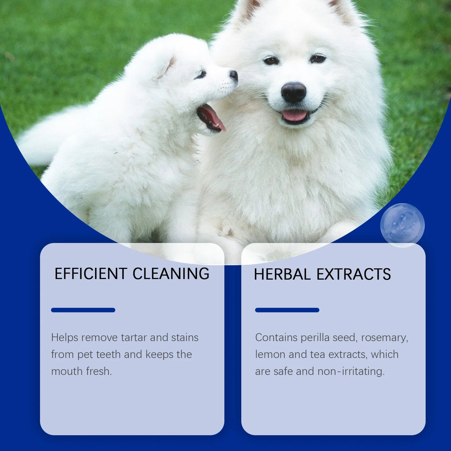 Dog & Cat Teeth Cleaning Powder — Whitens, Removes Tartar & Eliminates Odor