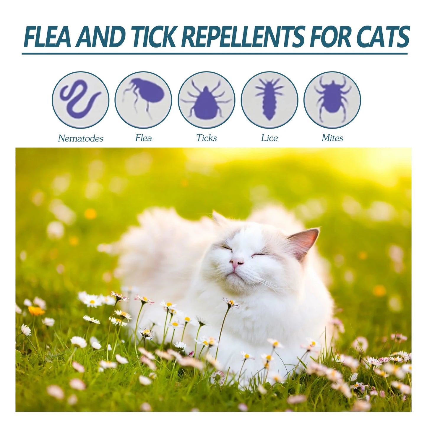 Natural Anti-Flea & Tick Drops for Cats & Dogs — 50ml Deworming Formula