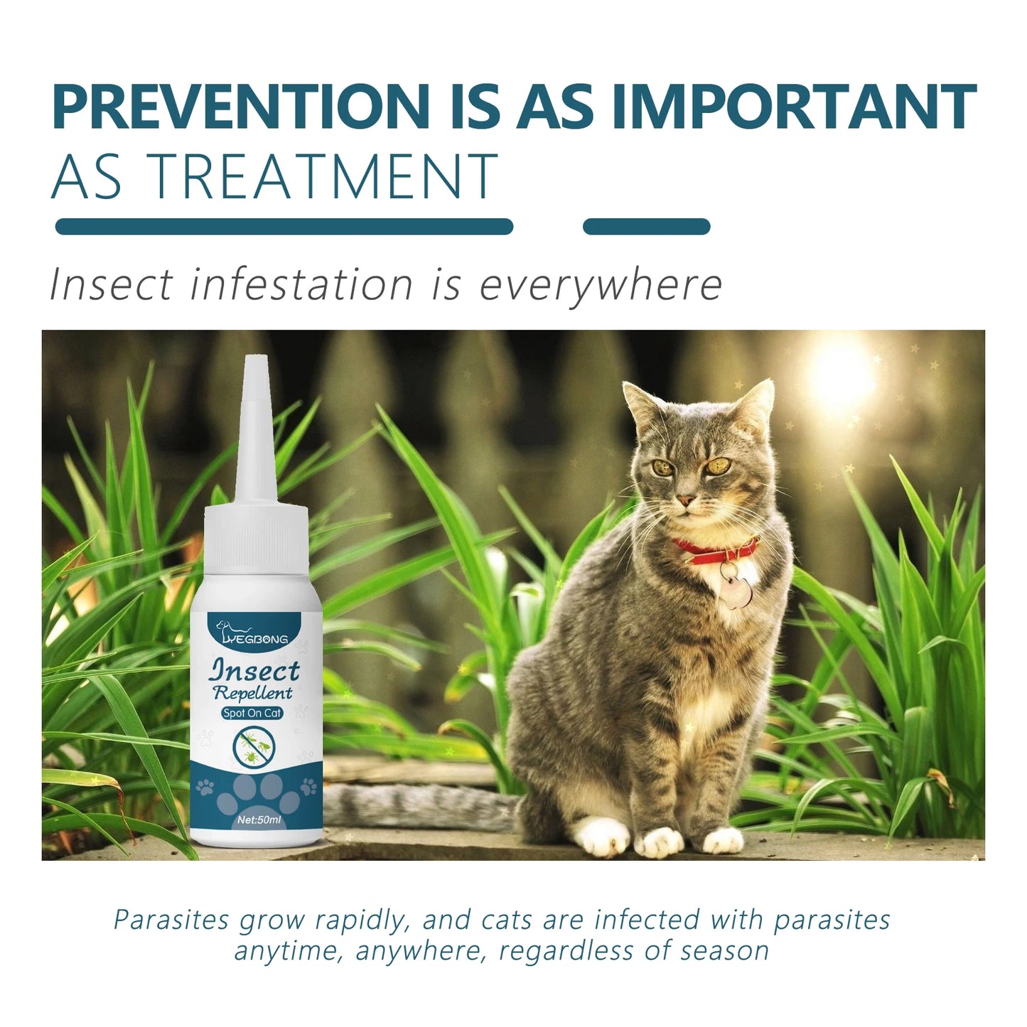 Natural Anti-Flea & Tick Drops for Cats & Dogs — 50ml Deworming Formula