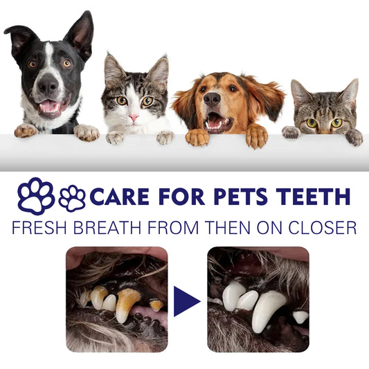 Pet Dental Care Toothpaste — Protects Gums, Removes Stains & Reduces Odor for Dogs & Cats