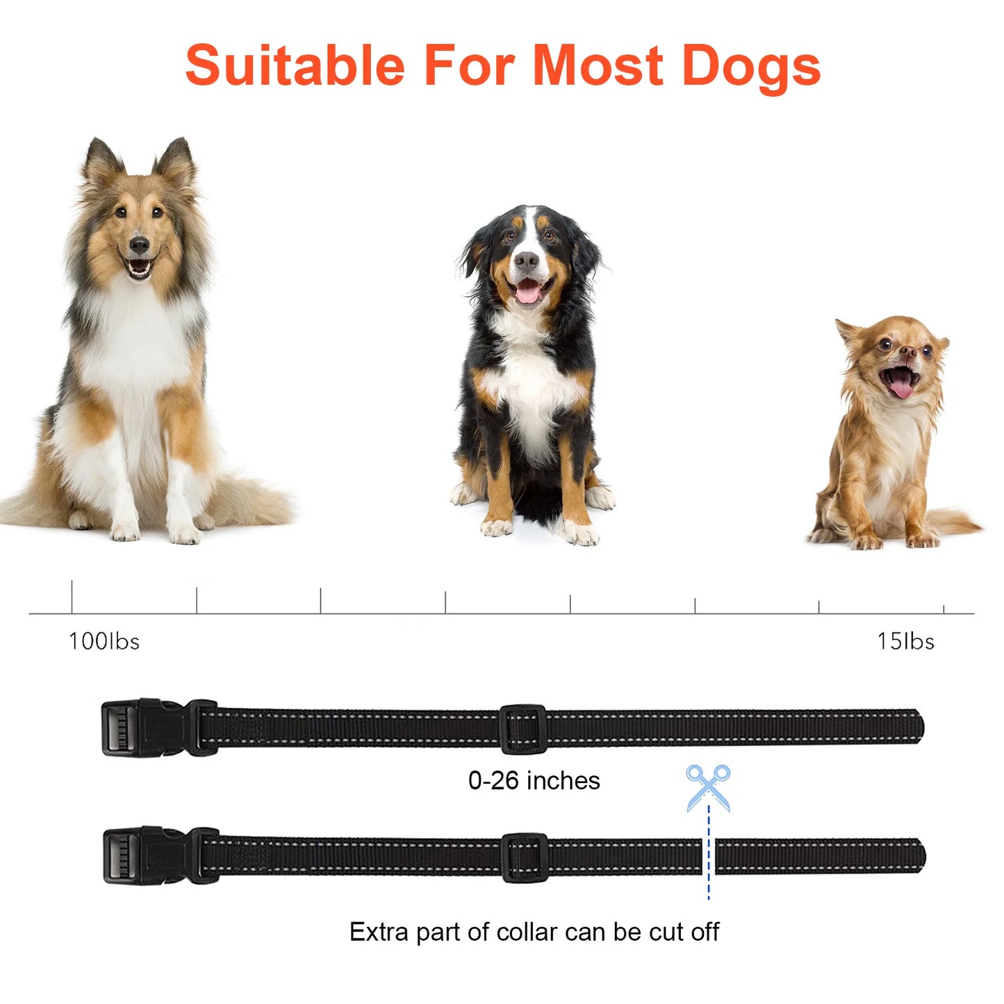 Dog Training Collar & Electric Fence System TP16 — Waterproof, Rechargeable