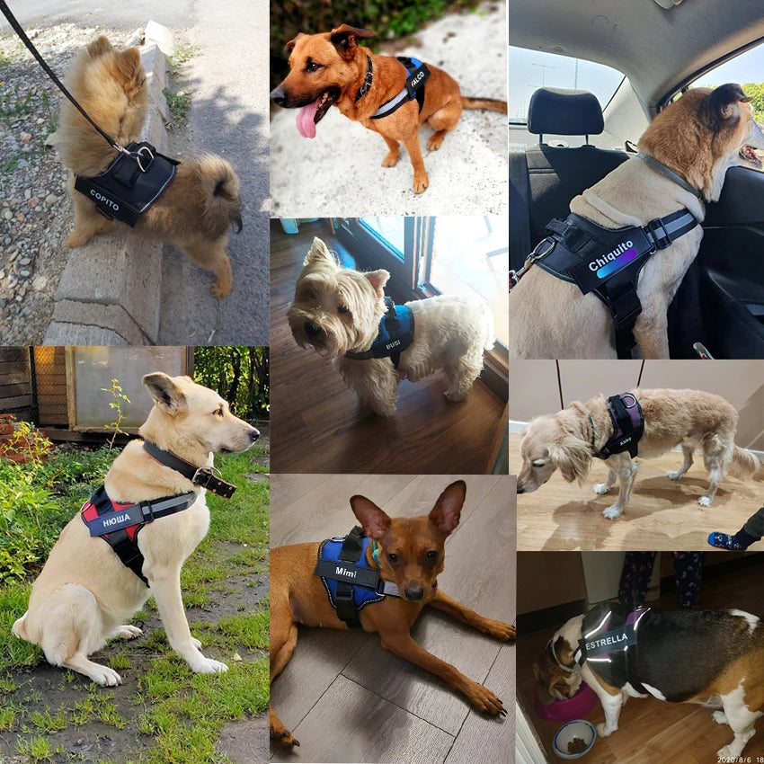 No-Pull Reflective Dog Harness Vest — Breathable, Adjustable with Custom ID Patch