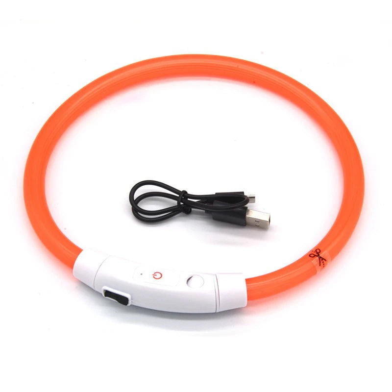 Rechargeable LED Dog Collar — Bright Light for Night Safety