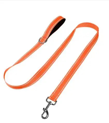 Reflective Night Safety Lead Strap for Dogs & Cats — Multiple Lengths & Colors