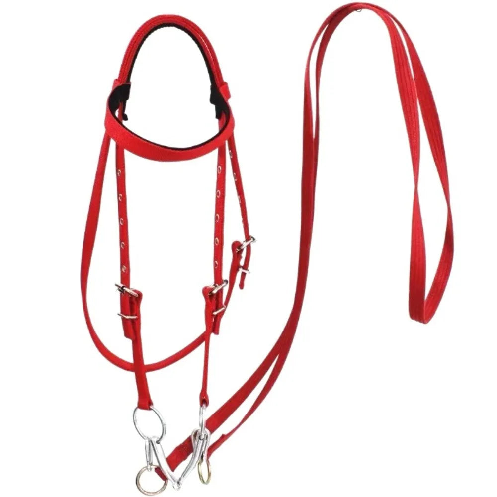Heavy Duty Horse Bridle with Headband — Adjustable, 3 Colors