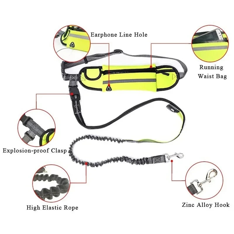 Hands-Free Dog Leash with Waist Bag — Reflective, Retractable, Elastic Belt
