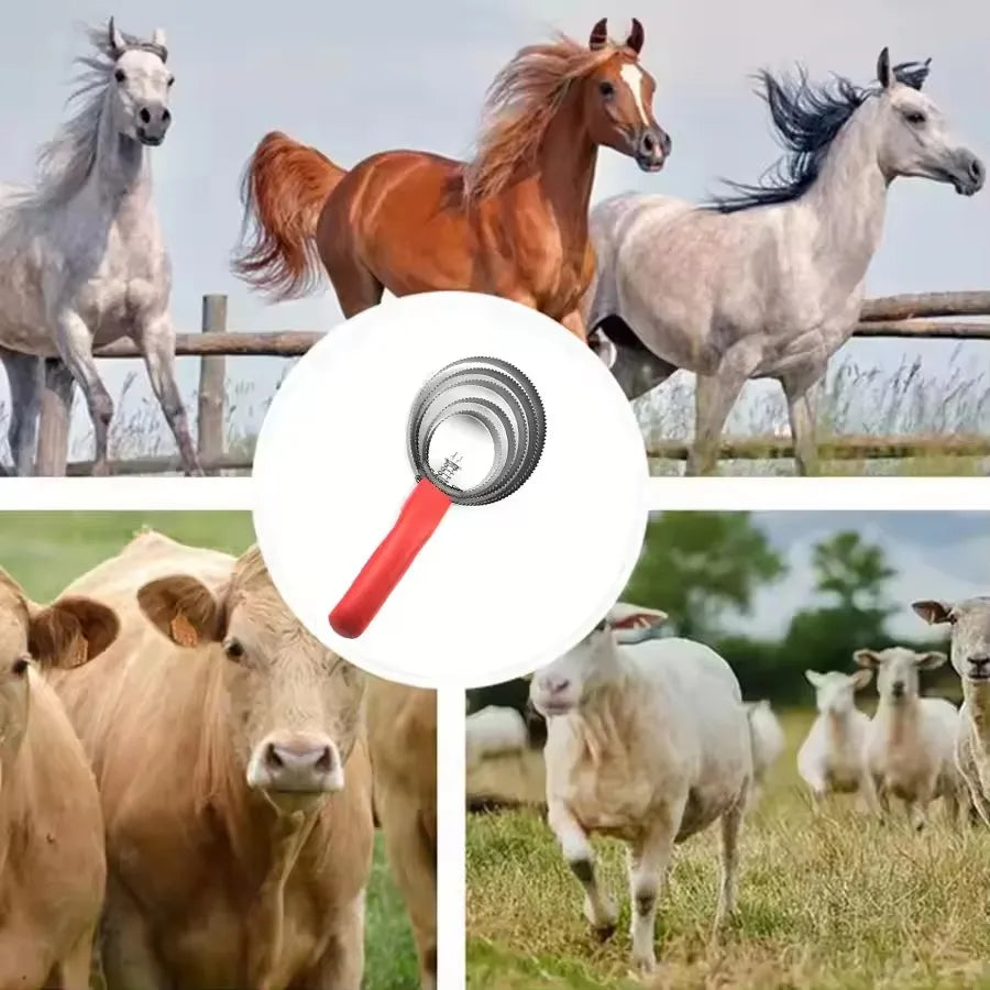 Horse Curry Comb — Serrated Grooming Tool for Hair Removal, Sweat Scraping & Cattle Scratching
