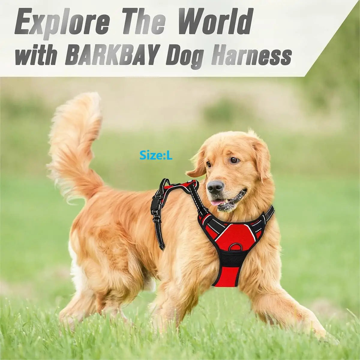 No-Pull Dog Walking Harness — Adjustable Nylon in 8 Colors