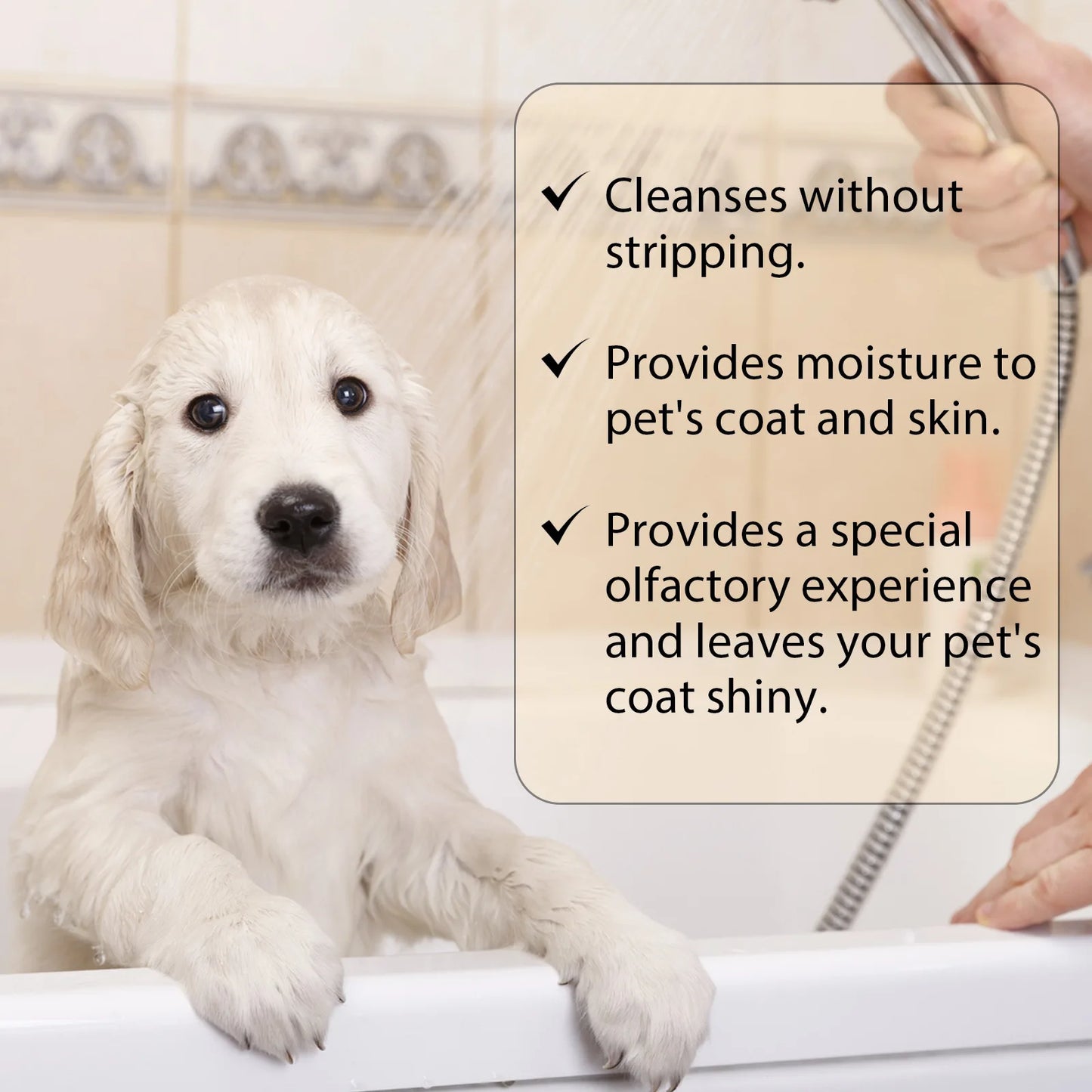 Dog Flea & Mite Killer Shampoo — Deep Cleansing Wash