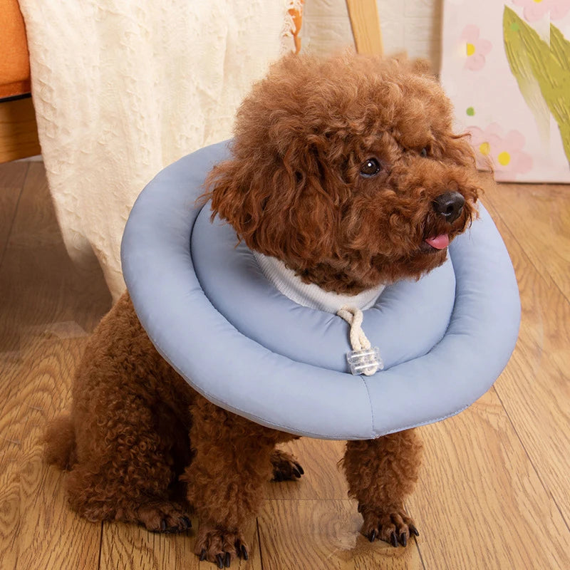 Adjustable Dog & Cat Recovery Collar — Soft Cotton, Prevents Licking Wounds