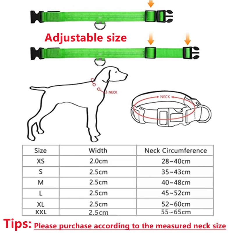 USB Rechargeable LED Dog & Cat Collar — Adjustable, Nylon, Night Safety | XS–XXL