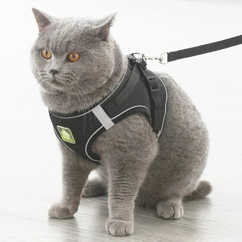 Reflective Dog Harness & Leash Set — Safety Walking Gear