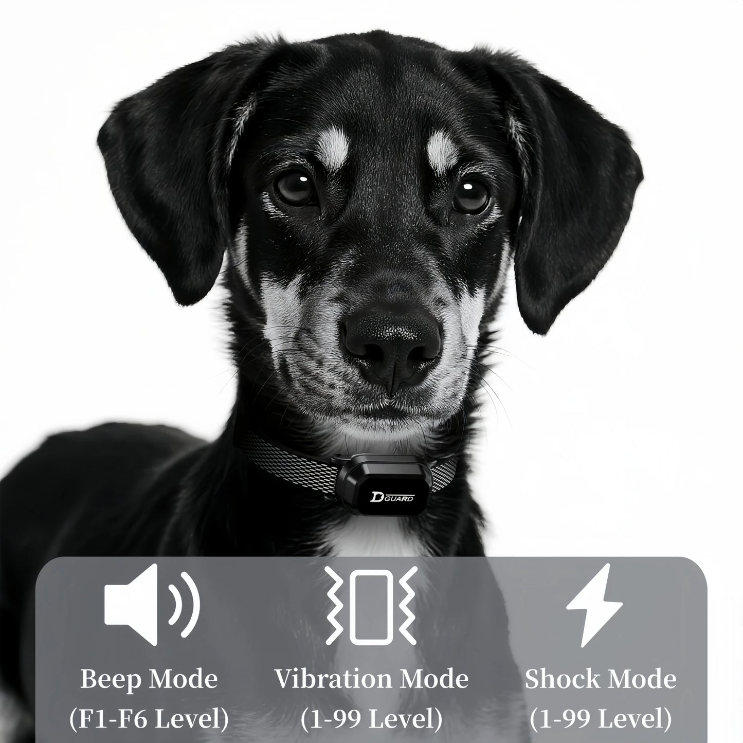 3300FT Remote Dog Training Collar — Rechargeable with Beep, Vibration & Shock