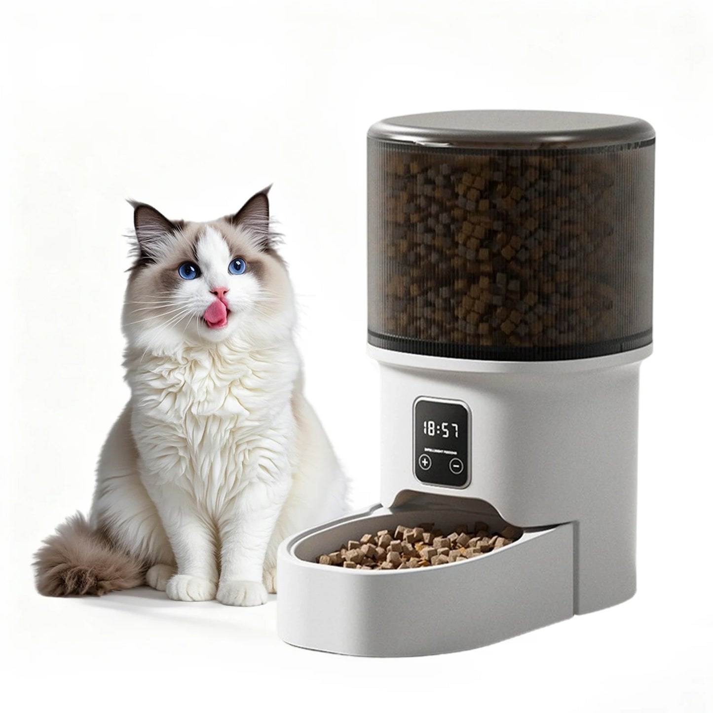 4L Automatic Cat & Small Dog Feeder with Timer — 1 to 6 Scheduled Meals Per Day