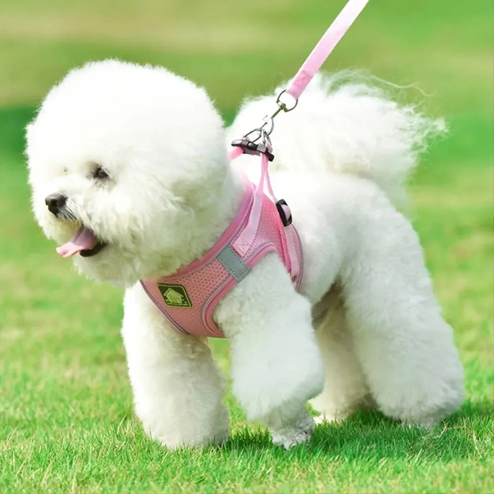 Reflective Dog Harness & Leash Set — Safety Walking Gear