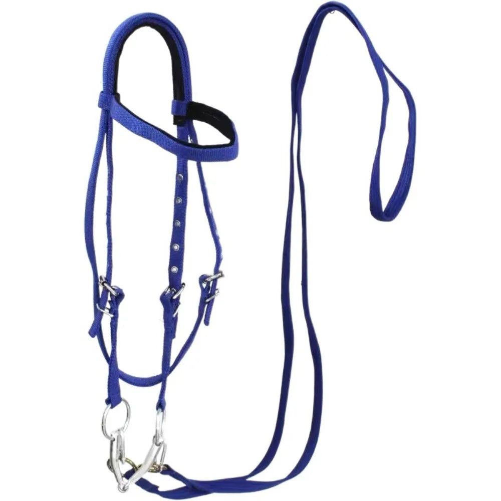 Heavy Duty Horse Bridle with Headband — Adjustable, 3 Colors