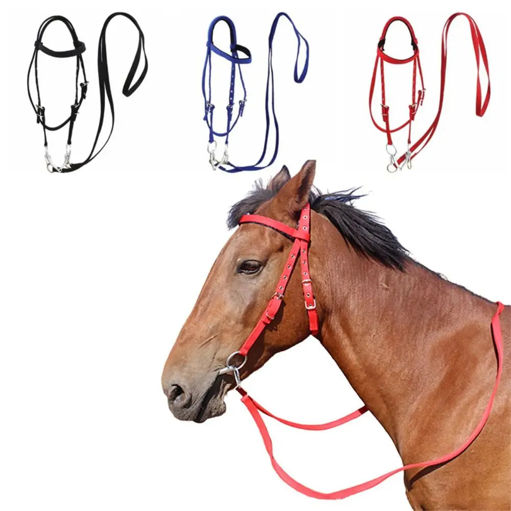 Heavy Duty Horse Bridle with Headband — Adjustable, 3 Colors