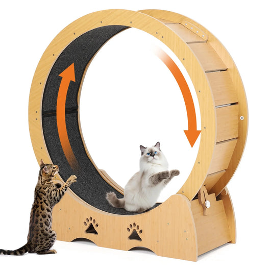 Wooden Cat Exercise Wheel — Large Indoor Running Treadmill with Low Noise & Removable Carpet