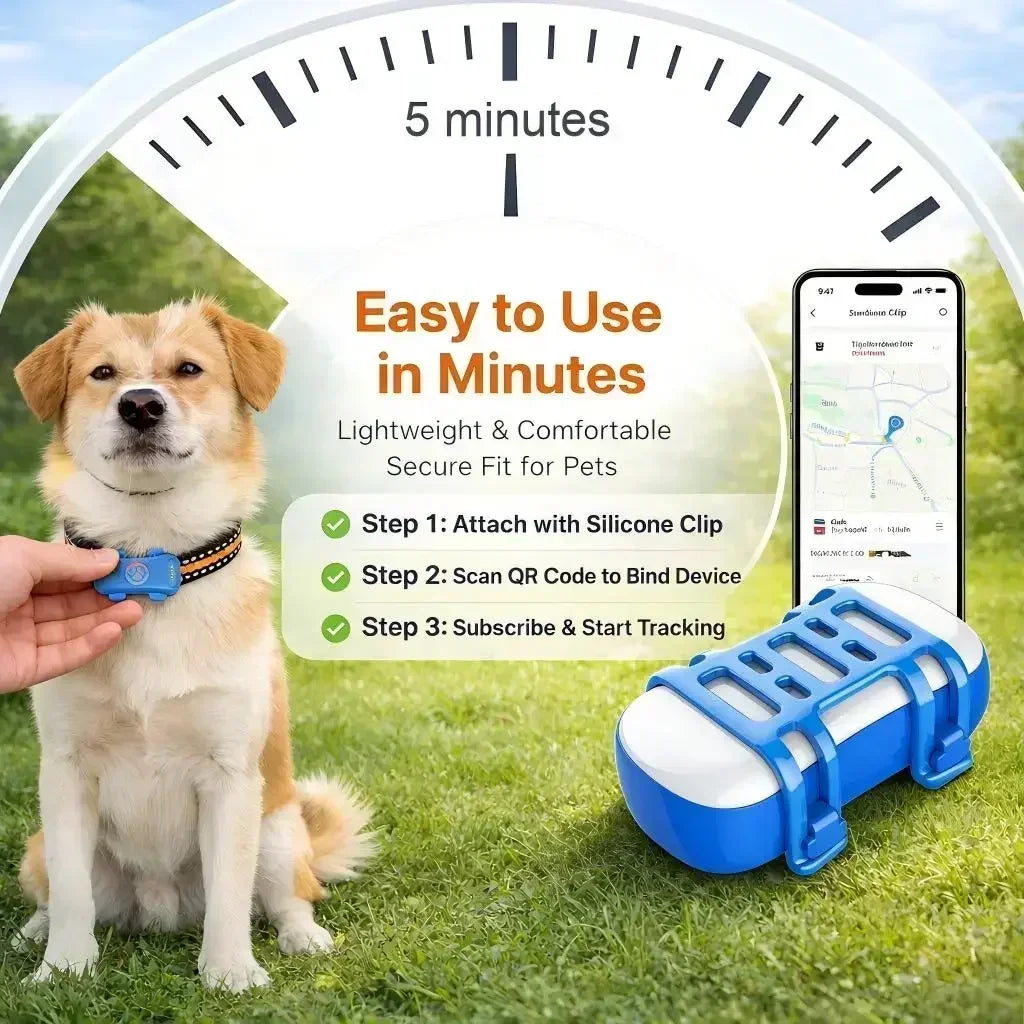 4G GPS Pet Tracker for Dogs & Cats — Real-Time Tracking, Built-In SIM, IP67 Waterproof