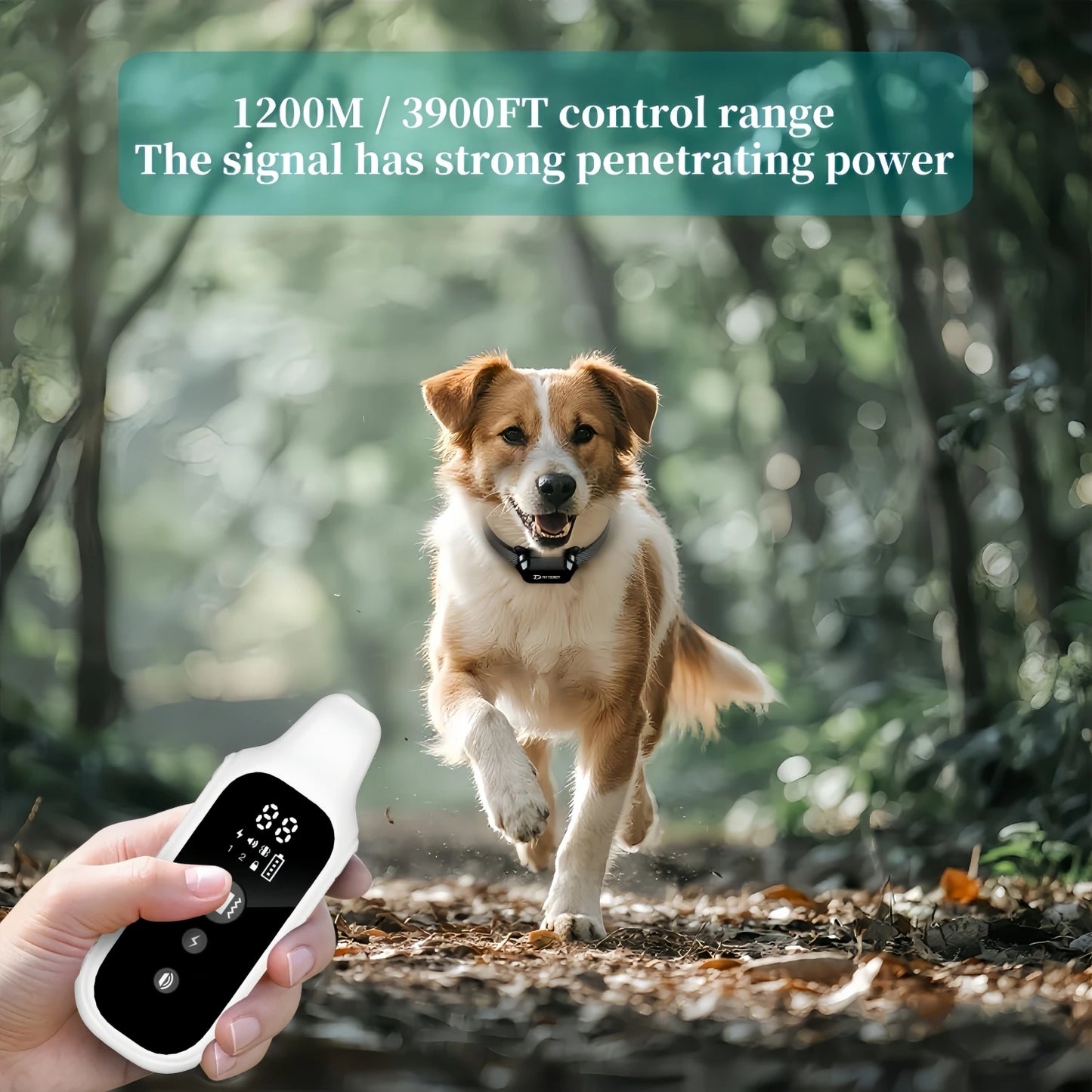 800m Digital Remote Dog Training Collar — Rechargeable with Multiple Modes