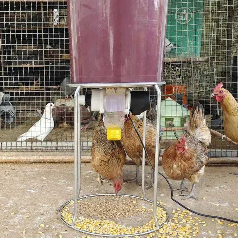 Automatic Poultry Feeder with Timer — WiFi Control or Solar Powered | Chickens, Ducks & Pigeons