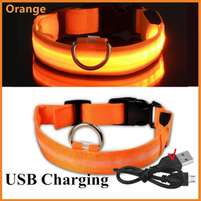 USB Rechargeable LED Dog & Cat Collar — Adjustable, Nylon, Night Safety | XS–XXL
