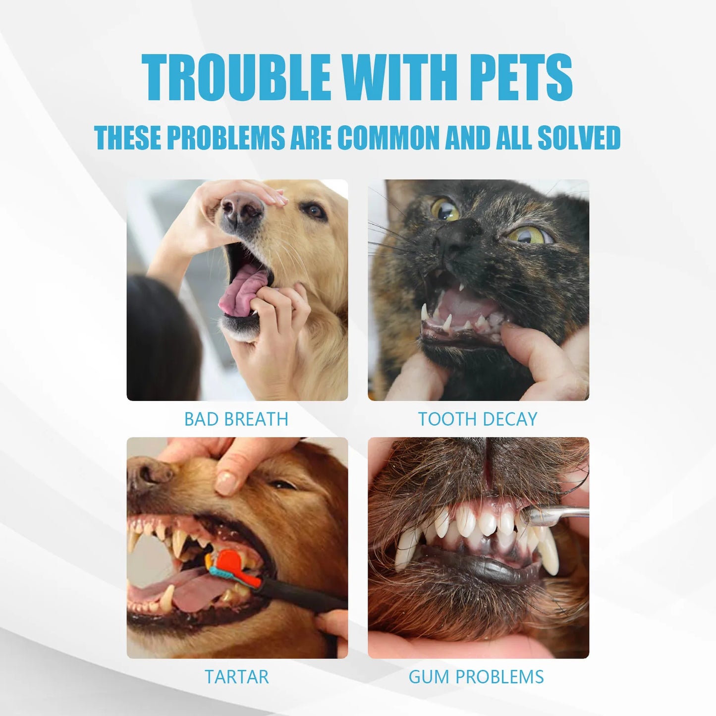 Edible Dog & Cat Toothpaste — Daily Tartar Control, Gum Protection & Odor Reduction