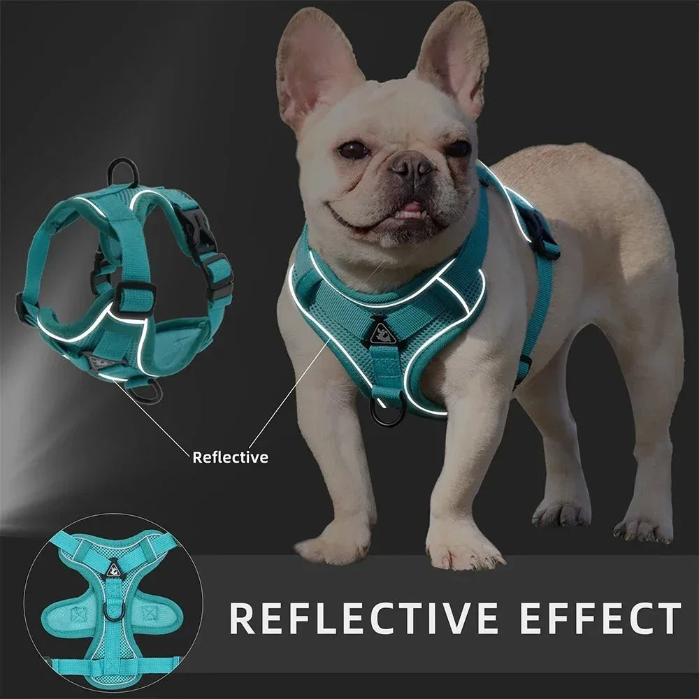 No-Pull Dog & Cat Harness & Leash Set — Adjustable, Reflective Vest