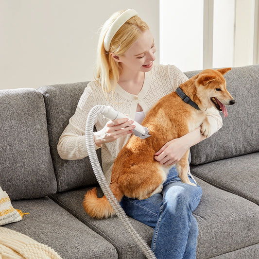 2.5L Pet Grooming Vacuum Kit — Suction Groomer for Dogs & Cats