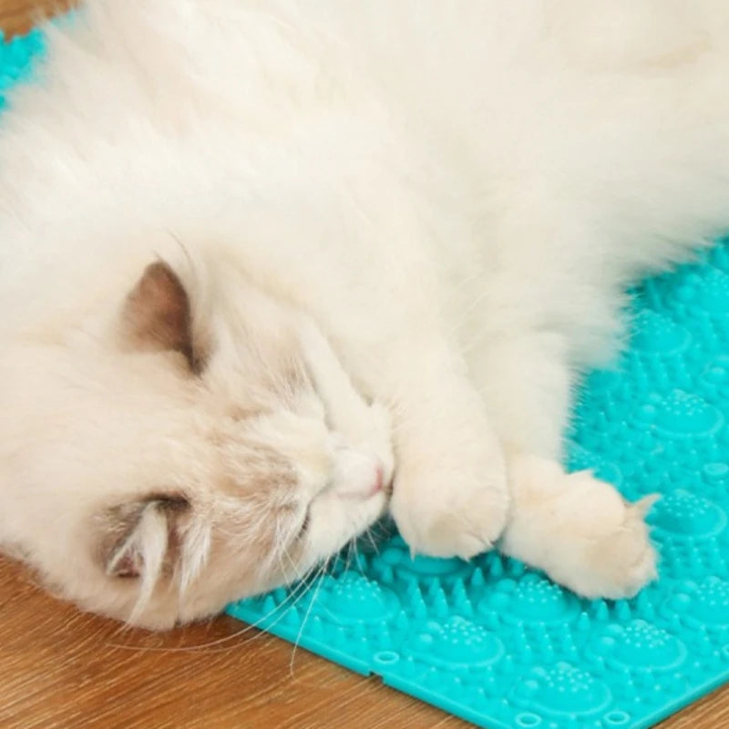 Cat & Kitten Fur Cleaning Massage Brush — Soft Plastic Grooming Tool