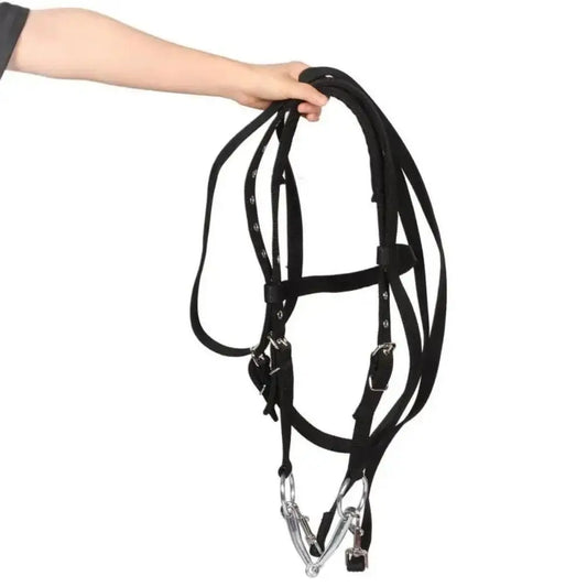 Heavy Duty Horse Bridle with Headband — Adjustable, 3 Colors
