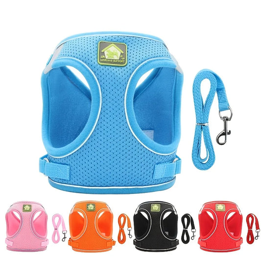 Reflective Dog Harness & Leash Set — Safety Walking Gear