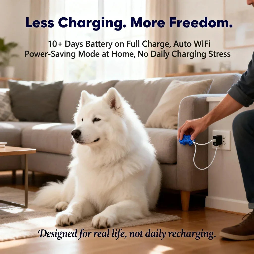 GPS Pet Tracker for Dogs & Cats — 4G LTE, Unlimited Distance, IP67 Waterproof