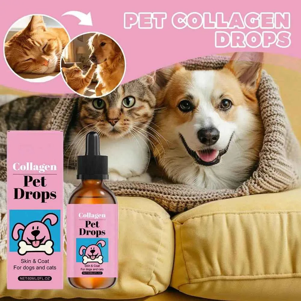Dog Collagen Drops Gentle Formula for Coat & Skin Care Main Dietary Supplement Dog Cleaning Supplies Pet collagen drops