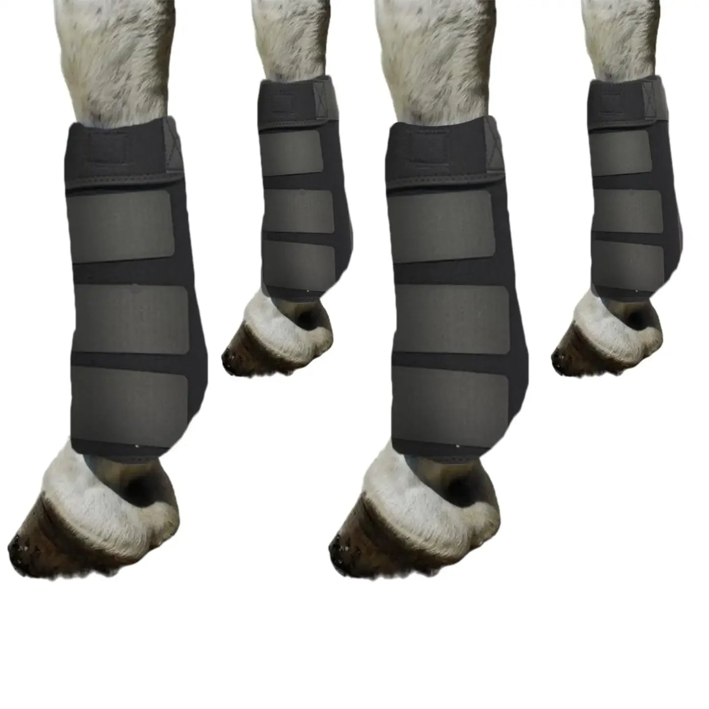 Horse Leg Boots — 4-Pack Durable Protection & Support for Outdoor Training | S, M, L
