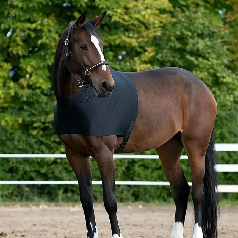 Horse Neck Cover & Shoulder Guard — Breathable Protective Vest for Wound Healing