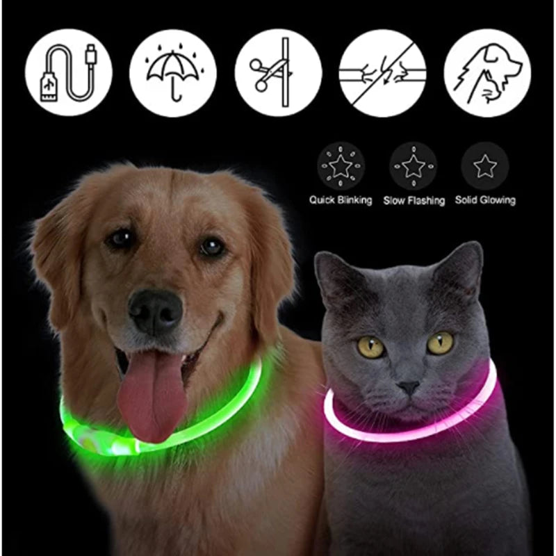 USB Rechargeable LED Dog & Cat Collar — Adjustable, Nylon, Night Safety | XS–XXL